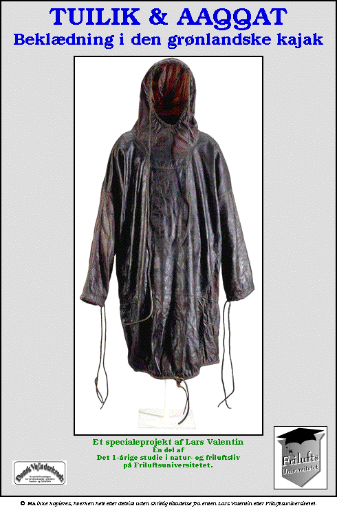 IMAGE imgs/Lars01.gif