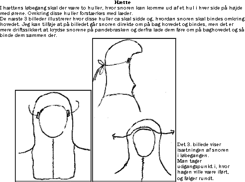 IMAGE imgs/Lars14.gif